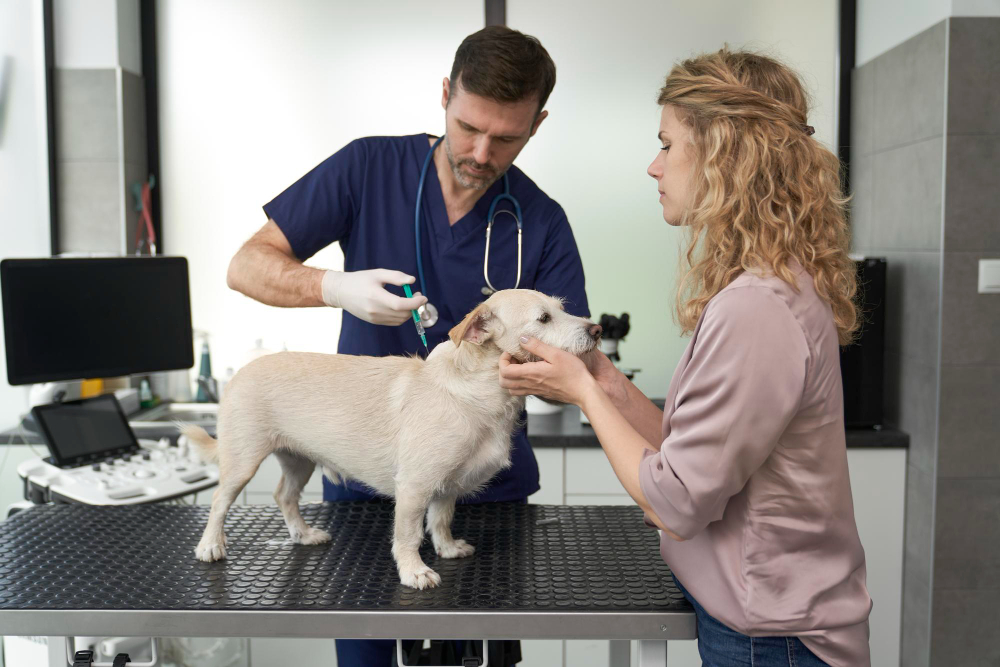 Die Wichtigkeit der Präventivmedizin für Haustiere