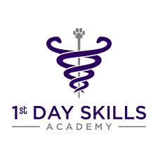 1st day skills academy